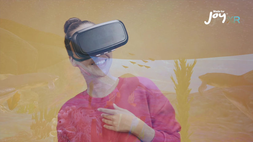 MADE FOR JOY CONTENT